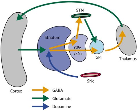 Parkinson S Disease The Lancet