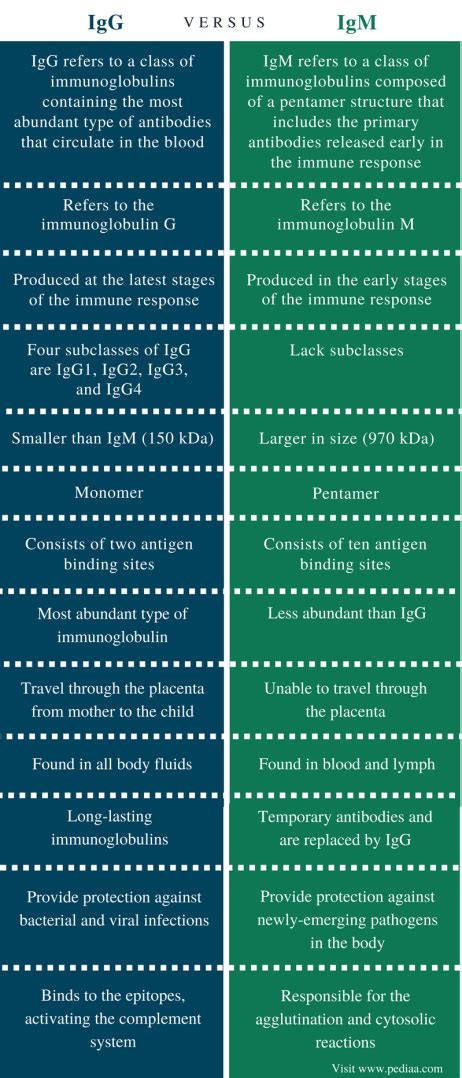 Difference Between IgG and IgM | Definition, Structure, Function in the ...