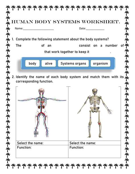 Human Body System Interactive Worksheet Live Worksheets Worksheets