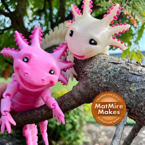 Smiling Axolotl Fidget Toy Axolotl Fidget Happy Axolotl Etsy