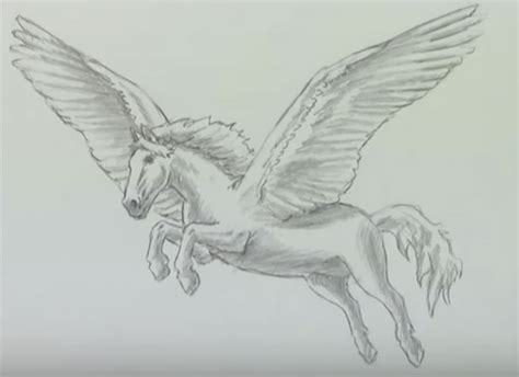 How To Draw A Pegasus Cute Simple Realistic And Easy