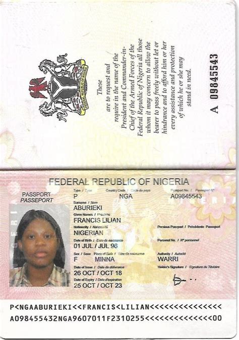 Nigerian Passports Scannable Passports Maker Passports News Online