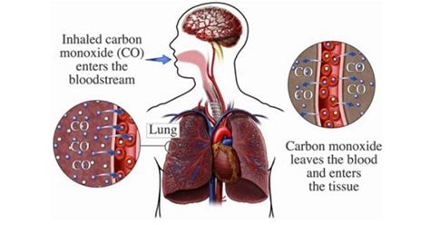 Asphyxiants: Carbon Monoxide (CO) - New