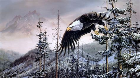 Bald Eagle HD Wallpapers - Top Free Bald Eagle HD Backgrounds ...