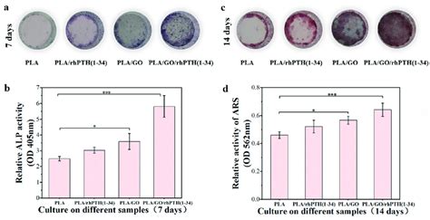 Alp Activity And Calcium Deposition A After 7 Days Of Culture Download Scientific Diagram