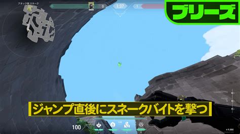 【valorant】ブリーズ×ヴァイパー 野良でも使える覚えておきたい空爆スネークバイト【027】【小技】 Valorant Pick