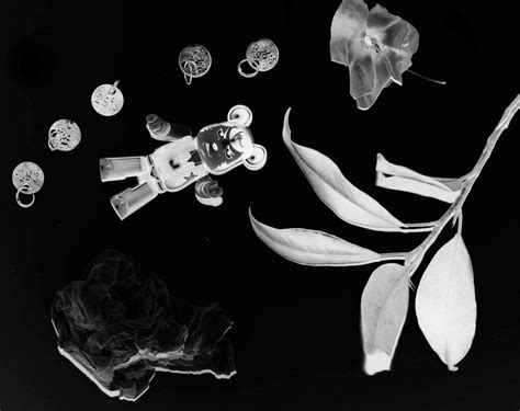 Here's Hoping It's Useful!: How To Make a Digital Photogram