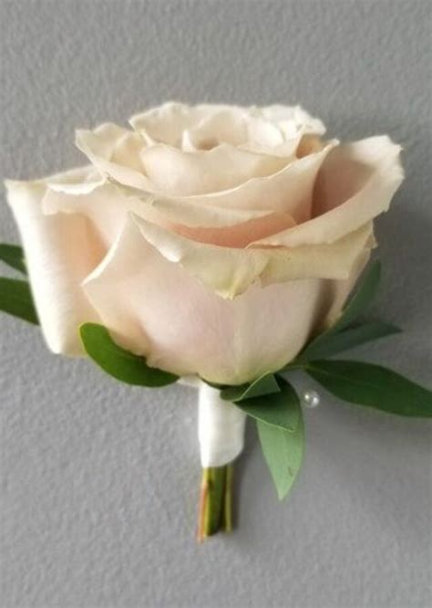 Blush Collection Blush Boutonniere The Flower Alley