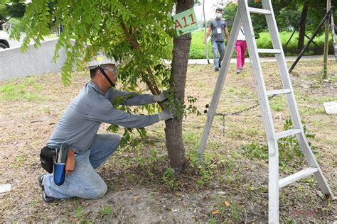 修剪樹木不簡單 彰化縣啟動景觀樹木修剪技術認證考照 蕃新聞