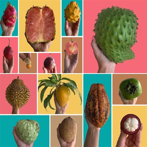 Exotic Fruit