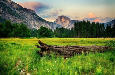 4K 5K USA Parks Mountains Forests Scenery Yosemite Grass HD