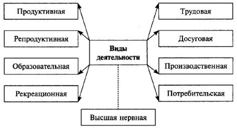 Чем отличаются виды деятельности человека
