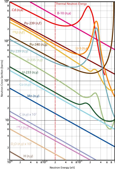 cross sections
