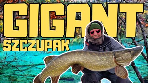 Jaką nagrodę dostanę za wielkiego szczupaka Spinning casting na