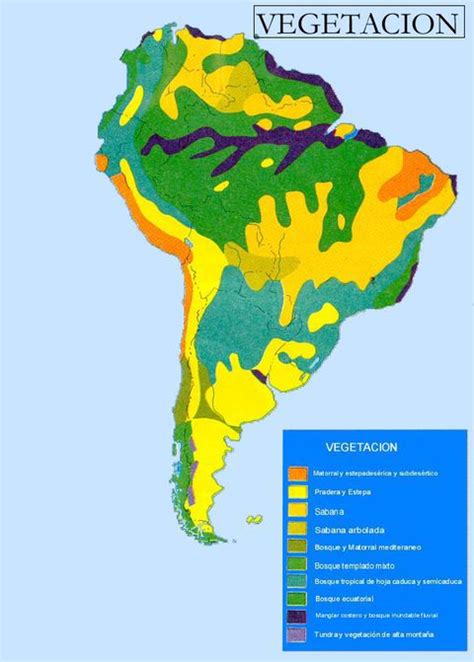 Vegetaci N De Am Rica Del Sur Gifex