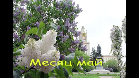 Месяц май - YouTube