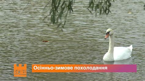 Синоптики спрогнозували погоду на найближчі кілька місяців - YouTube