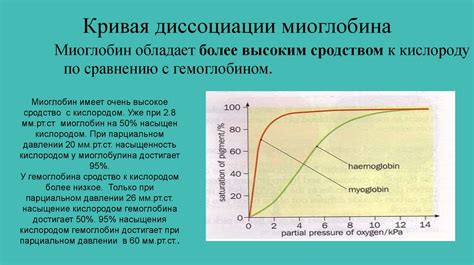 Строение и функции гемоглобина и миоглобина человека. Кривые ...