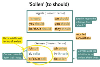 German Sollen Conjugation - How It's Used, Examples, And More