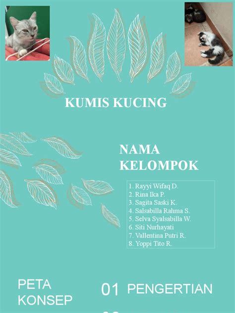 Ppt Kumis Kucing Pdf