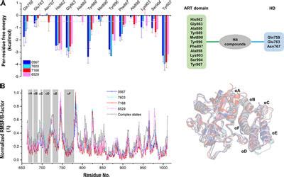 Frontiers Discovery Of Novel Anti Tumor Compounds Targeting Parp