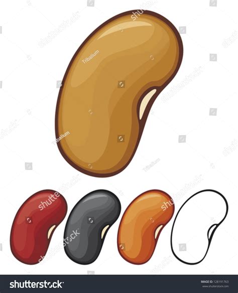 Beans Stock Vector 128191763 - Shutterstock