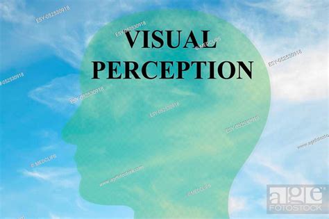 Render Illustration Of Visual Perception Title On Head Silhouette With