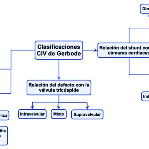 Clasificación De La Comunicación Interventricular De Gerbode Civ