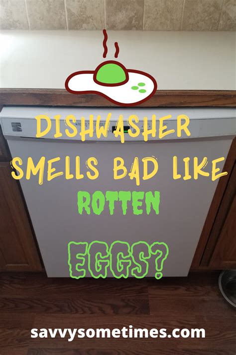 Dishwasher Smells Like Rotten Eggs/Sewage! How We Fixed a Smelly ...