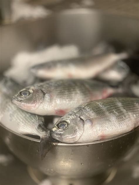 Pesce A Torino Ristorante Mare Nostrum