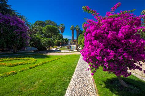 Sanremo la città dei fiori perché si chiama così Cosa sapere