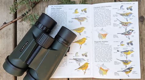 Seven Tips for Beginner Bird Watchers - Toronto and Region Conservation ...