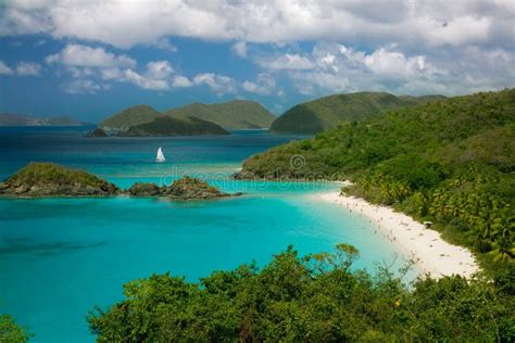 Playa De La Bah A Del Tronco En Las Islas V Rgenes De Los E E U U