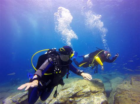 Diving In Tenerife Diving Center OLA PADI Courses Snorkeling In