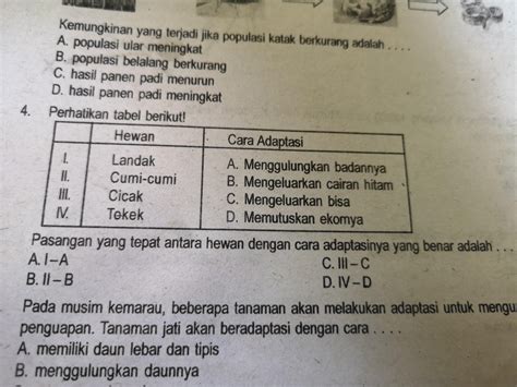 Contoh Soal Try Out Sd Kelas 6 Ipa Berbagai Contoh