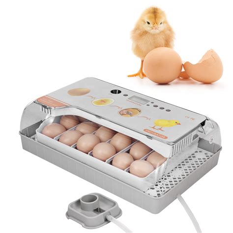 Buy Digital Egg Incubator Eggs Poultry Hatcher With Auto Egg Turning