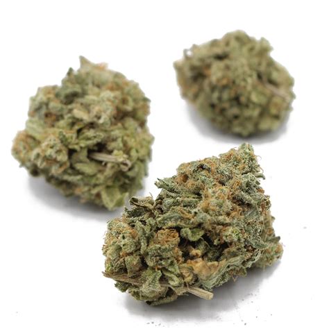 Blue Cheese Aa Gram Crazycannabis Online Dispensary Canada