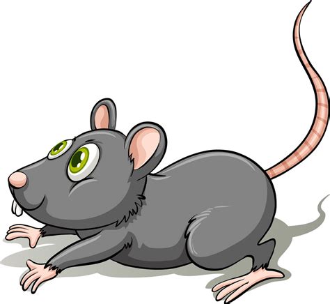 Rat Clipart - Clipart.World