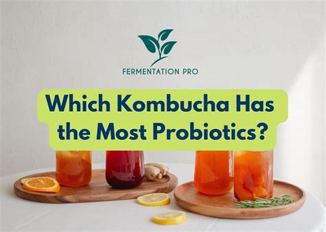 Which Kombucha Has the Most Probiotics?