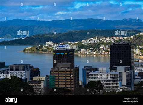 Wellington Skyline Bay City Of Wellington New Zealand With View Of Bay