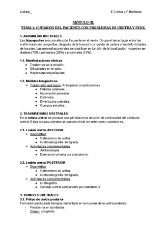 TEMA 3 Modulo III Pdf