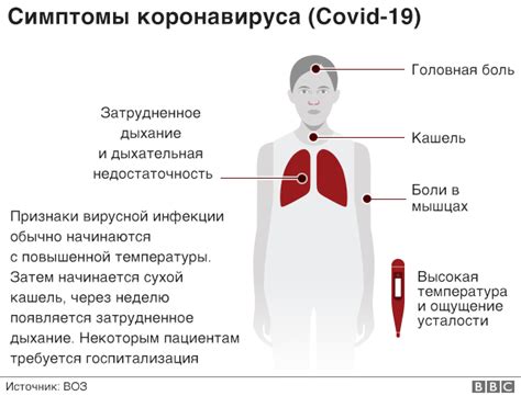 Симптомы коронавируса: какие они и как защититься от болезни - BBC News ...