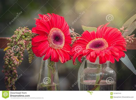 O Gerbera Floresce No Vaso Decorado No Vintage Bonito Das Cores Foto De