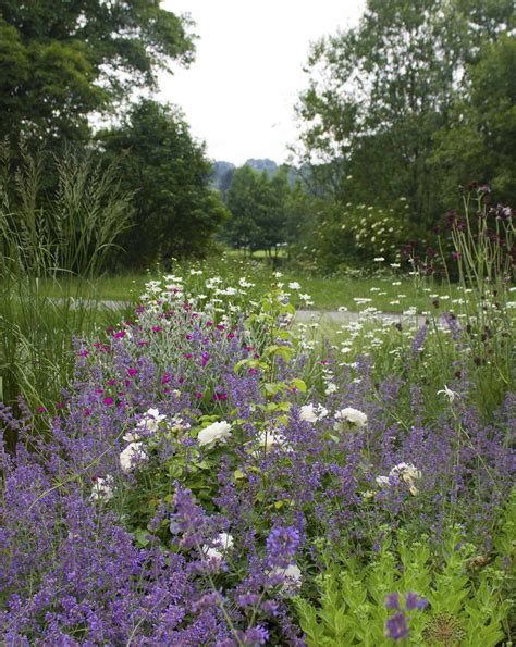 Ilkley Riverside Park New Perennial Planting Beds — Helen Taylor