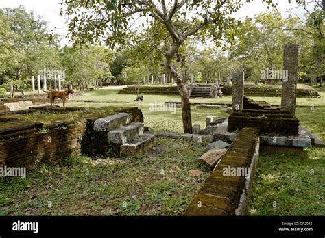 Ruins Of Anuradhapura Sri Lanka Stock Photo Alamy