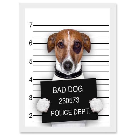 Bad Dog