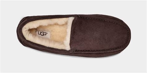 Ugg Ascot Slipper For Men Ugg® Uk