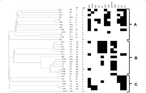 A Neighbor Joining NJ Tree Of Selected S Aureus Isolates Based On Up