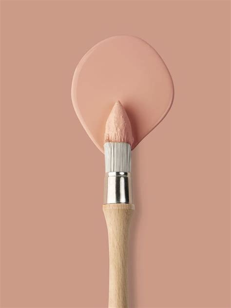 Pantone Peach Fuzz Lue Couleur De L Ann E En D Co En