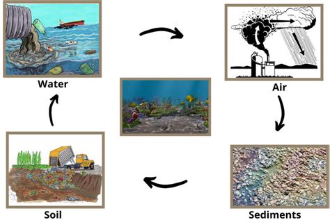 Heavy Metal Contamination Of Water And Their Toxic Effect On Living Organisms Intechopen